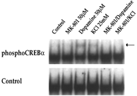 Fig. 10.