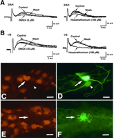 Fig. 12.