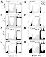 Fig. 12.