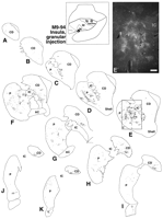 Fig. 14.