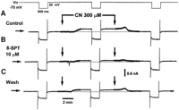 Fig. 5.