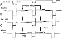 Fig. 8.