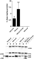 Fig. 10.