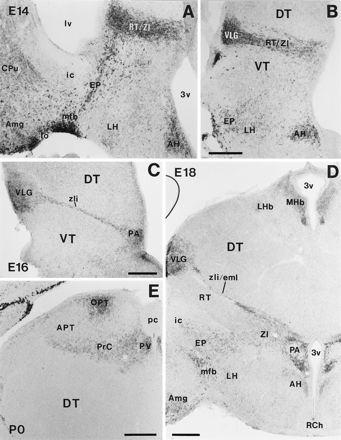 Fig. 10.