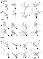 Fig. 10.