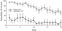 Fig. 9.