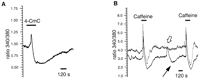 Fig. 10.