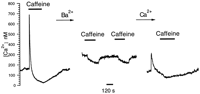 Fig. 11.