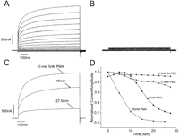 Fig. 10.