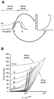 Fig. 12.