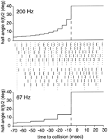 Fig. 9.