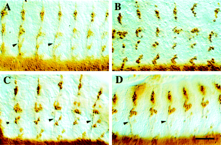 Fig. 10.