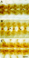 Fig. 8.