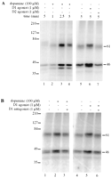 Fig. 9.