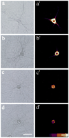 Fig. 4.