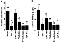Fig. 9.