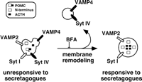Fig. 10.