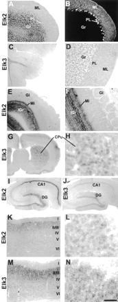 Fig. 9.