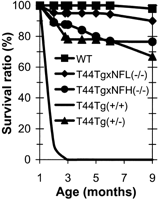 Fig. 8.