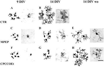 Fig. 5.