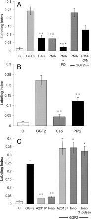 Fig. 8.