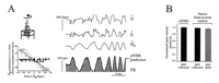 Fig. 10.