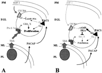 Fig. 11.