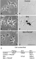 Fig. 8.