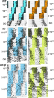 Fig. 5.