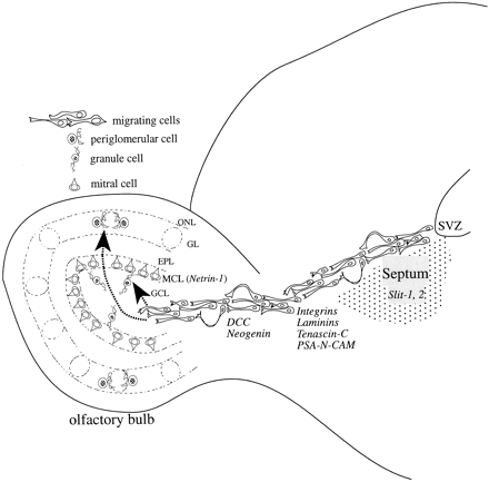 Fig. 8.