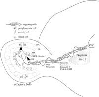 Fig. 8.