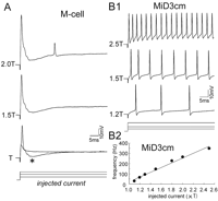 Figure 7.