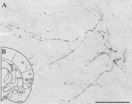   Figure 10. 