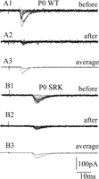   Figure 8. 