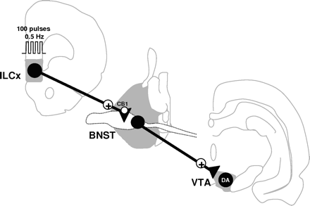 Figure 8.