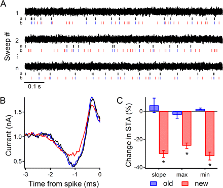 Figure 6.