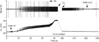Figure 10.