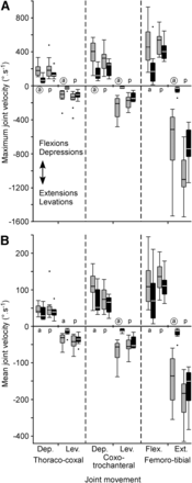 Figure 11.