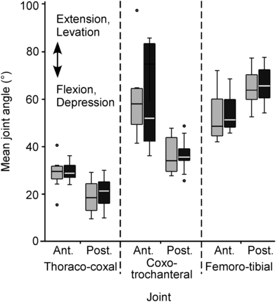 Figure 12.