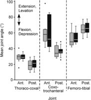 Figure 12.