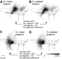 Figure 14.