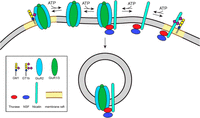 Figure 10.