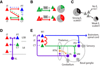 Figure 9.