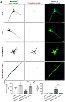 Figure 17.