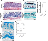 Figure 10.