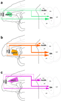 Figure 7.